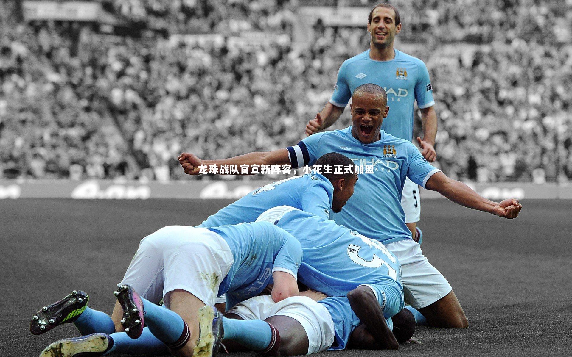 龙珠战队官宣新阵容，小花生正式加盟