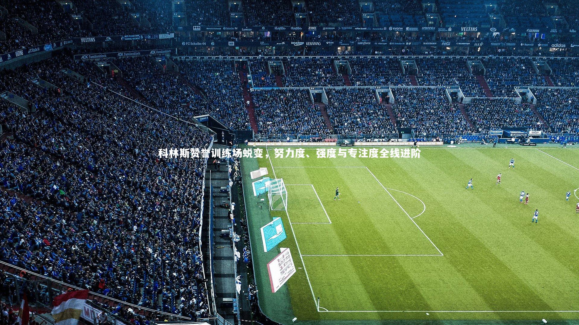 科林斯赞誉训练场蜕变，努力度、强度与专注度全线进阶