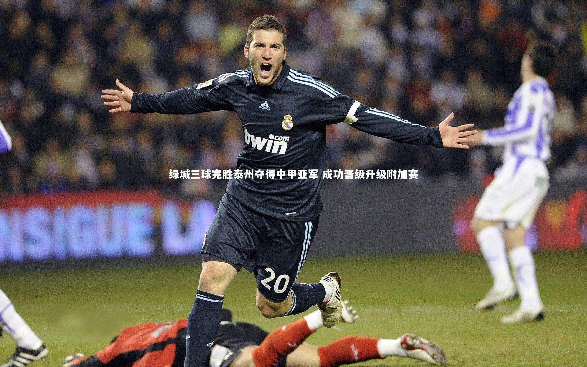 绿城三球完胜泰州夺得中甲亚军 成功晋级升级附加赛